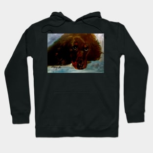 Dachshund Hoodie